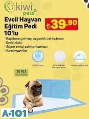 KİWİ EVCİL HAYVAN EĞİTİM PEDİ